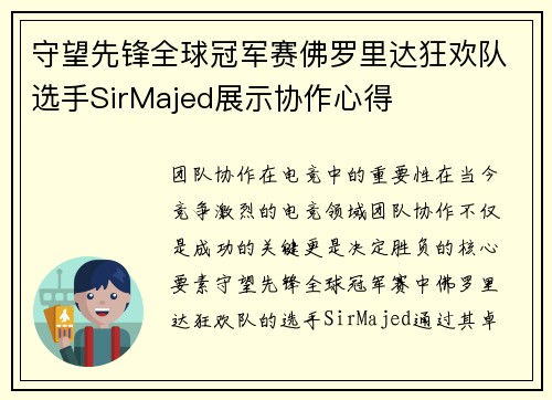 守望先锋全球冠军赛佛罗里达狂欢队选手SirMajed展示协作心得
